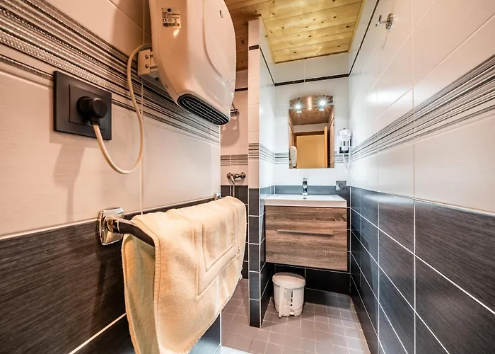 La Fleche D'or 3* Châtel